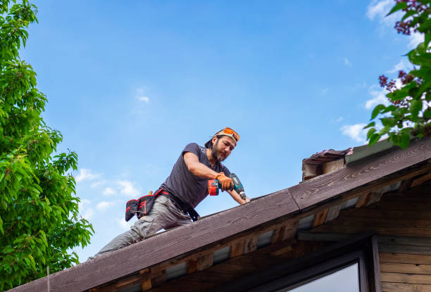 Best Roof Coating and Sealing  in Squirrel Mountain Valley, CA